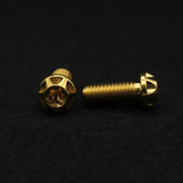 Titanschraube M8x20