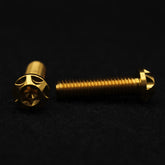 Titanschraube M8x30
