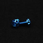 Titanschraube M5x10