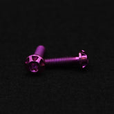 Sitzbankschraube M6x30 für Husqvarna | Titanschrauben-Set | Fear Custom Composites