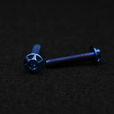 Titanschraube M5x25