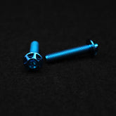 Titanschraube M5x25