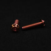 Titanschraube M5x25