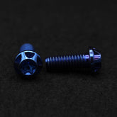 Titanschraube M8x20