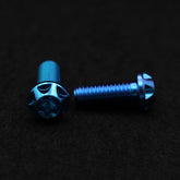 Titanschraube M8x20