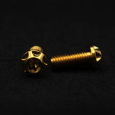 Titanschraube M8x25