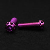 Titanschraube M8x25