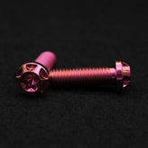 Titanschraube M8x25