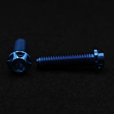 Titanschraube M8x30