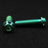 Titanschraube M8x30