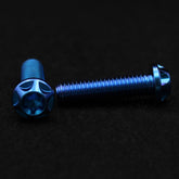 Titanschraube M8x30
