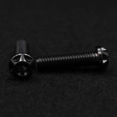 Titanschraube M8x30