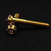Titanschraube M8x50