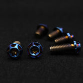 Bremsscheiben Set für KTM | Titanschrauben-Set | Fear Custom Composite 6 St. M6x13