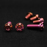 Bremsscheiben Set für KTM | Titanschrauben-Set | Fear Custom Composite 6 St. M6x13