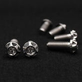 Bremsscheiben Set für KTM | Titanschrauben-Set | Fear Custom Composite 6 St. M6x13