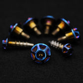 Gabelschoner für KTM | Titanschrauben-Set | Fear Custom Composites